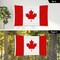 G128 Combo Pack: 6 Ft Tangle Free Aluminum Spinning Flagpole (Black) & Canada Canadian Flag 3x5 Ft, LiteWeave Pro Series Printed 150D Polyester, 4 Corner Brass Grommets | Pole with Flag Included